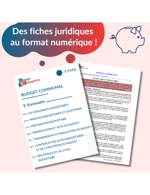 E-Fiche - Budget communal - Compte financier unique