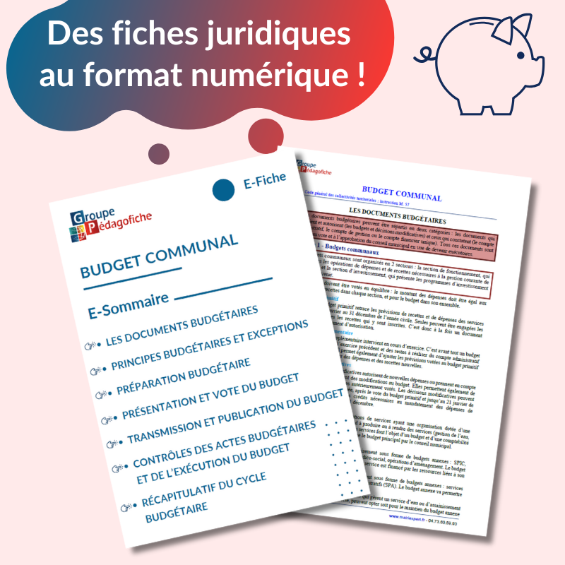 E-Fiche - Budget communal - Compte financier unique