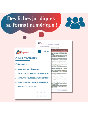 E-Fiche - Cumul d'activités
