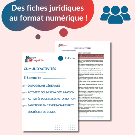 E-Fiche - Cumul d'activités