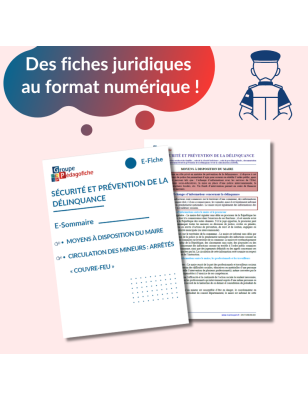 E-Fiche - Sécurité et prévention de la délinquance