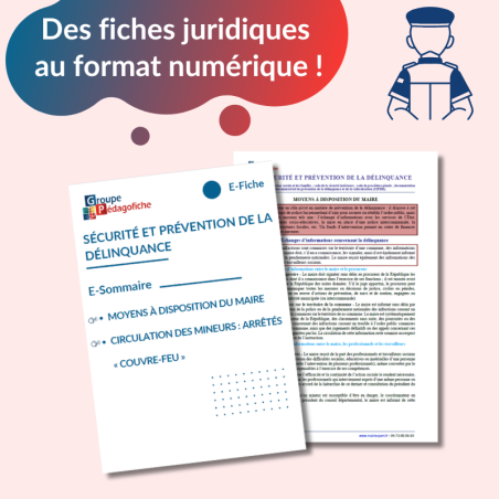 E-Fiche - Sécurité et prévention de la délinquance
