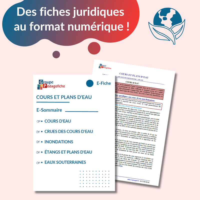 E-Fiche - Cours et plan d'eau