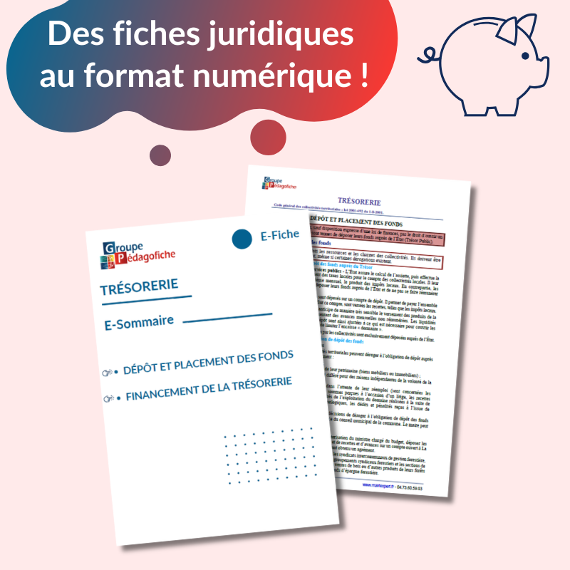 E-Fiche - Trésorerie E-Fiche - Trésorerie